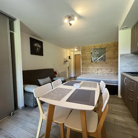 Le Studio Du Fondeur, Apartment La Bresse